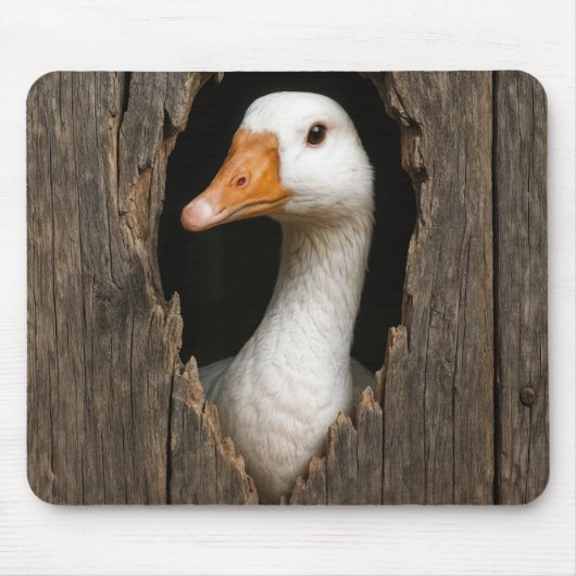 Witte gans gluren uit grillig houten gat muismat (Voorkant)