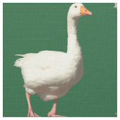 Witte Gans - Groen Stof (Close Up)