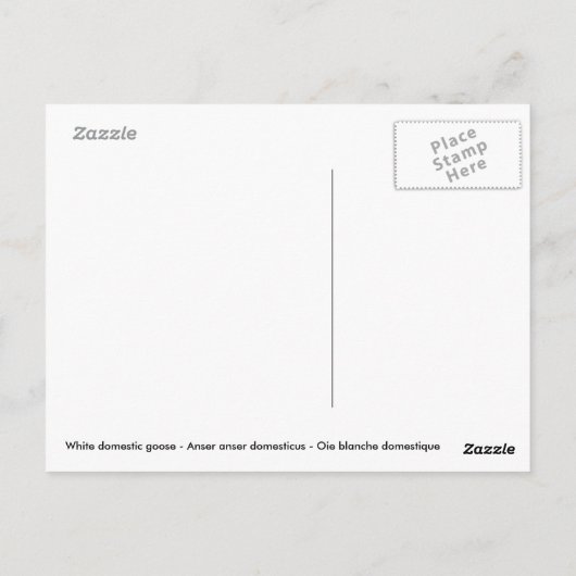Witte gans nabij vijver briefkaart (Achterkant)