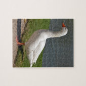 Witte gans nabij vijver legpuzzel (Horizontaal)