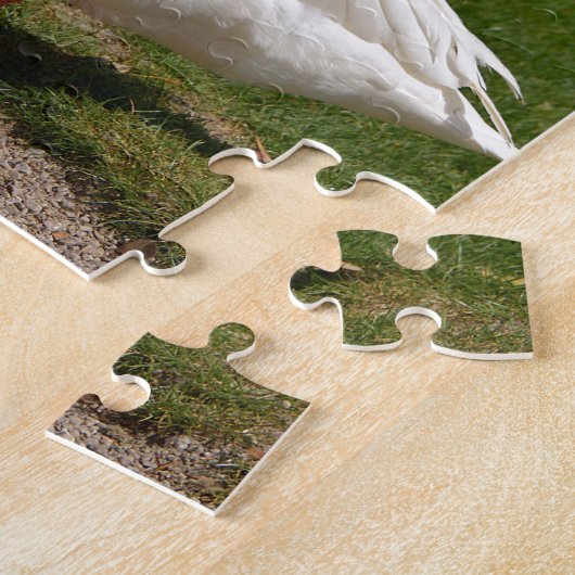 Witte gans nabij vijver legpuzzel (Zijkant)