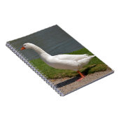 Witte gans nabij vijver notitieboek (Rechterzijde)