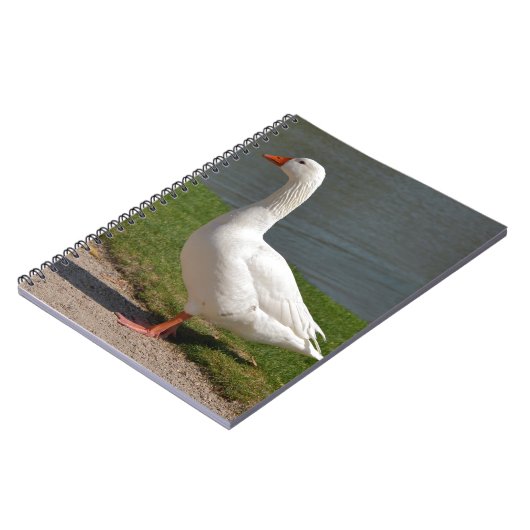 Witte gans nabij vijver notitieboek (Linkerzijde)