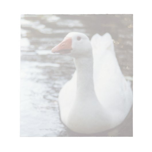 Witte gans notitieblok (Voorkant)