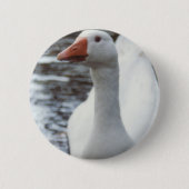Witte gans ronde button 5,7 cm (Voorkant)