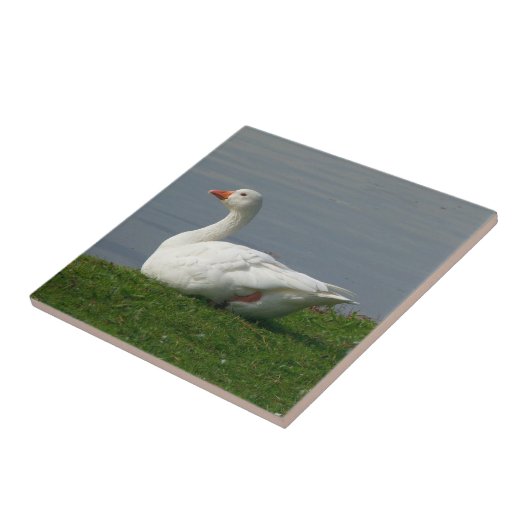 Witte gans tegeltje (Zijkant)