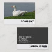 Witte gans visitekaartje (Voorkant / Achterkant)