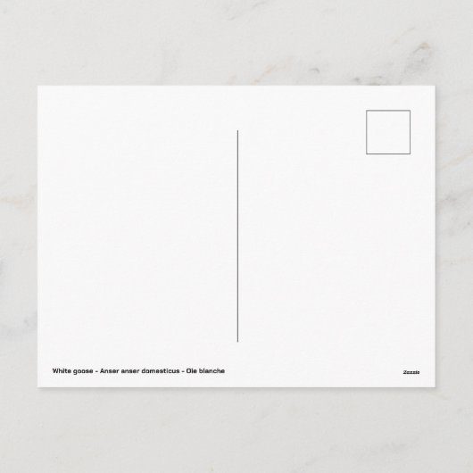 Witte gans zwemmen op water feestdagenkaart (Achterkant)