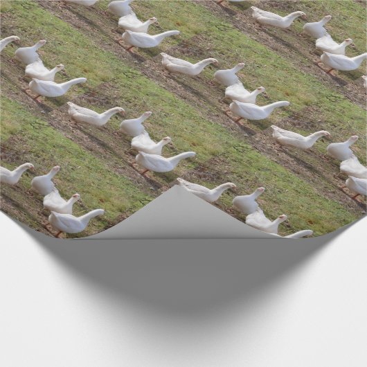 Witte ganzen cadeaupapier (Hoek)