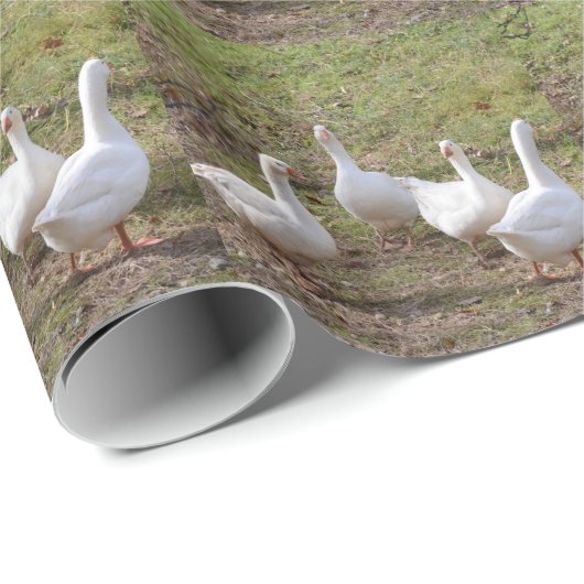 Witte ganzen cadeaupapier (Rol Hoek)