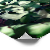 Witte ganzen die in Struiken hangen Poster (Hoek)