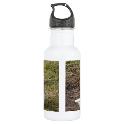 Witte ganzen waterfles  (Achterkant)