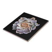 Witte Gardenia Black achtergrond Tegeltje (Zijkant)