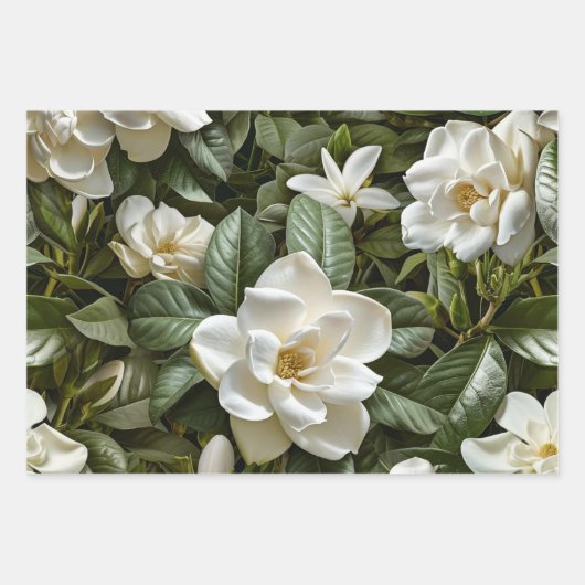 Witte gardenia bloemen inpakpapier vel