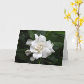Witte gardeniabloem kaart (Gele Bloem)