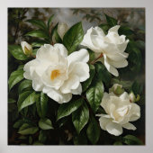 Witte Gardenias Bloemenkunst Print Poster (Voorkant)