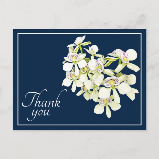 Witte geaderde orchideeën Navy achtergrond Bedankt Briefkaart (Voorkant)