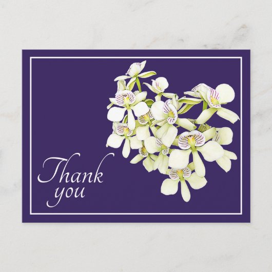 Witte geaderde orchideeën paarse achtergrond dank briefkaart (Voorkant)