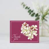 Witte geaderde orchideeën scharlakenrode achtergro briefkaart (Staand voorkant)