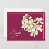Witte geaderde orchideeën scharlakenrode achtergro briefkaart (Voorkant / Achterkant)