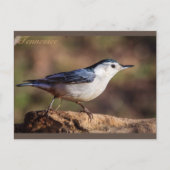 Witte gebrande Nuthatch Tennessee Briefkaart (Voorkant)