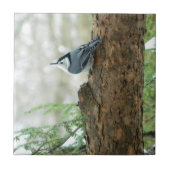 Witte gebroken Nuthatch Decorative Tile Tegeltje (Voorkant)