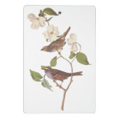 Witte geduroteerde mousserende audubon-vogels met  mini klembord (Achterkant)