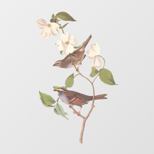 Witte geduroteerde mousserende audubon-vogels met raamsticker (Vel)