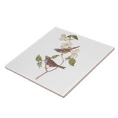 Witte geduroteerde mousserende audubon-vogels met  tegeltje (Zijkant)