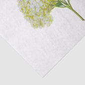  witte geel waterbloem tissuepapier (Detail)