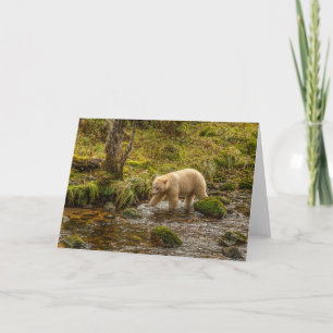 Witte Geestbeer jaagt op vis in Riordan Creek Kaart