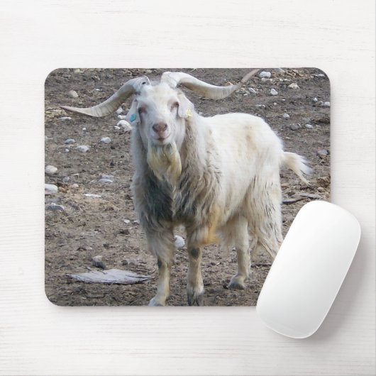 Witte geit muismat (Met muis)