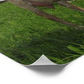 Witte geit poster (Hoek)