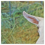 Witte geit stof (Close Up)