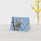 Witte gekroonde mussen briefkaart (Gele Bloem)