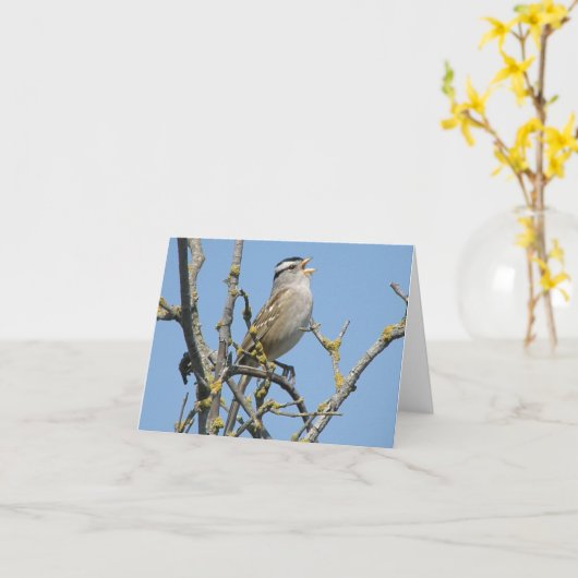 Witte gekroonde mussen briefkaart (Gele Bloem)