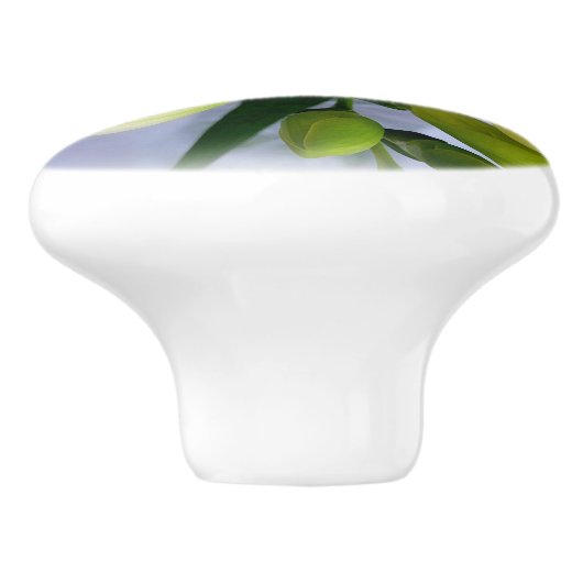 witte gele diepte keramische knop (Zijkant)