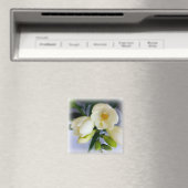 witte gele diepte magneet (Insitu (Vaatwasser))