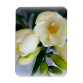 witte gele diepte magneet (Verticaal)