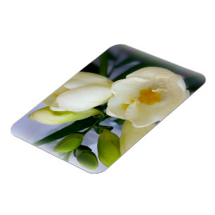 witte gele diepte magneet
