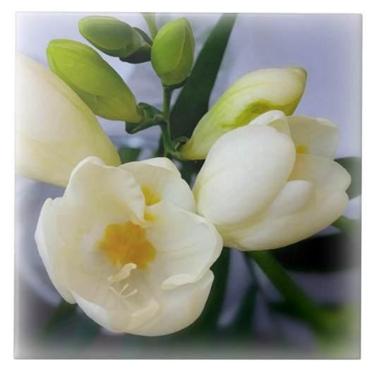 witte gele diepte tegeltje (Voorkant)