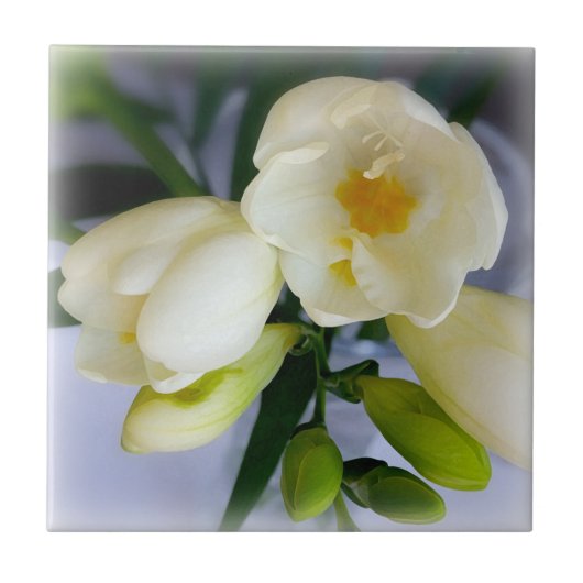 witte gele diepte tegeltje (Voorkant)