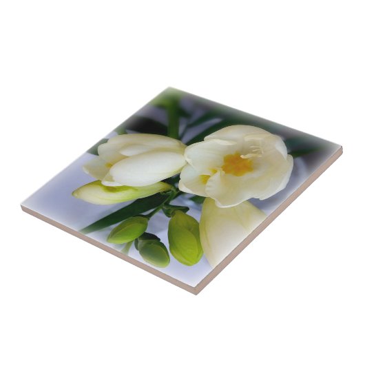 witte gele diepte tegeltje (Zijkant)