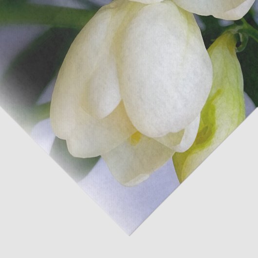 witte gele diepte tissuepapier (Detail)