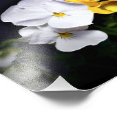 Witte gele en Paarse pansies Foto Afdruk (Hoek)