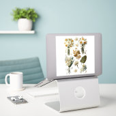 Witte Gele Narcissen Lente Pasen Bruiloft Sticker (Laptop op bureau)