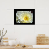 Witte Gele Roos Bloem Kunstprinten Poster (Keuken)