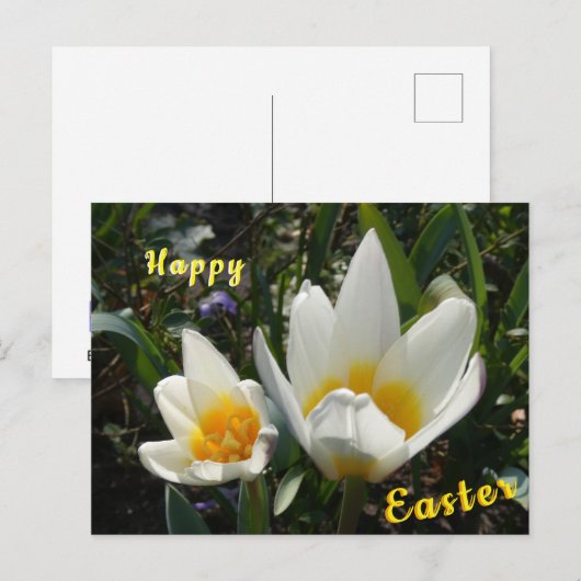 Witte gele tulpen Happy Easter Briefkaart (Voorkant / Achterkant)