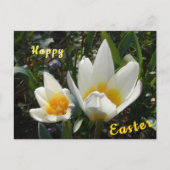 Witte gele tulpen Happy Easter Briefkaart (Voorkant)