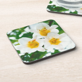 Witte gelilies - Lily Flower Lilium candidum Bier Onderzetter